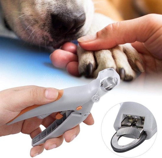 Huisdier kat hond nagelknipper en trimmer - huisdier speciaal verzorgingsgereedschap, nagelschaar voor het verzorgen van katten puppy kitten kleine