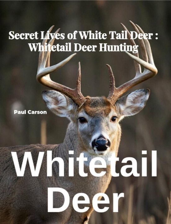 Whitetail Deer Secret Lives of White Tail Deer Whitetail Deer Hunting