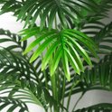 Gedetailleerde close-up van de heldergroene, gevederde bladeren van een kunstpalm.