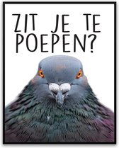 Zit je te poepen? Duif Toilet Fotolijst - WC - Badkamer - Kado - Grappig - Schilderij - Foto - Poster