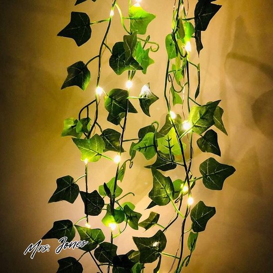479425_6