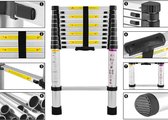 ACXIN Teleskopladder Aluminium Uitschuifbaar 78-320cm 11 Treden Draagvermogen 150kg-Zilver