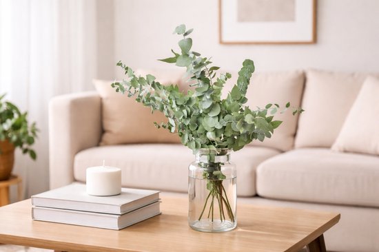 Eucalyptus Takken - Vers - Grote bos - Geurend - 70 cm
