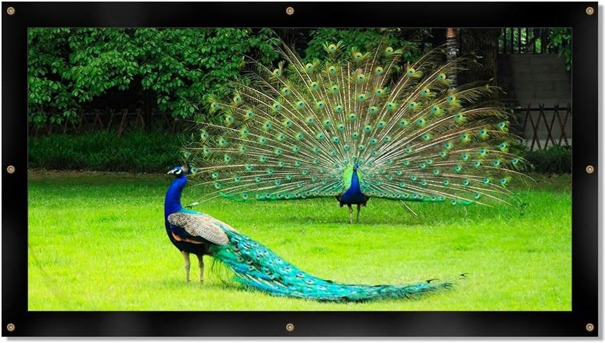 Projectiescherm - Draagbaar Scherm - Thuisbioscoop Presentaties - Opvouwbaar Zwart Rand - 120 Inch 16:9 - Wit