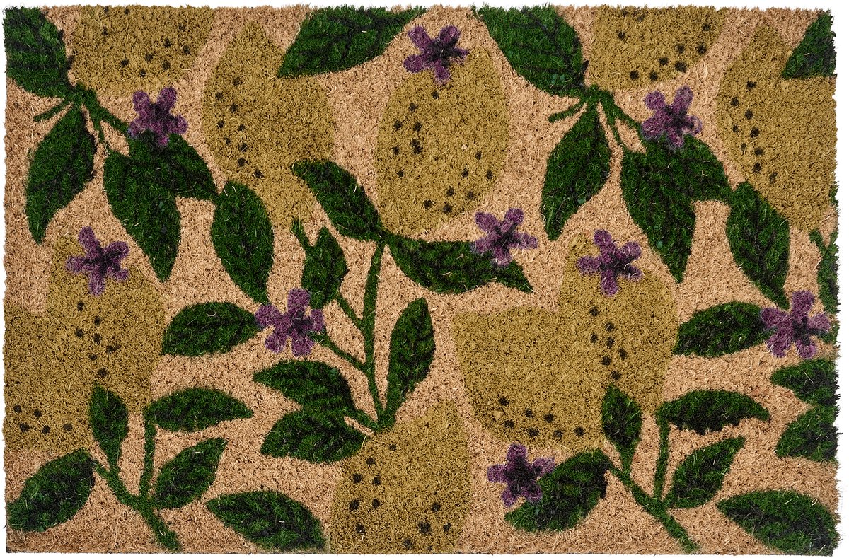 BELIANI TAZLINA - Deurmat - Meerkleurig - 40 x 60 cm - Kokos