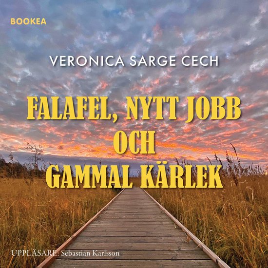 Falafel, nytt jobb och gammal kärlek - cover