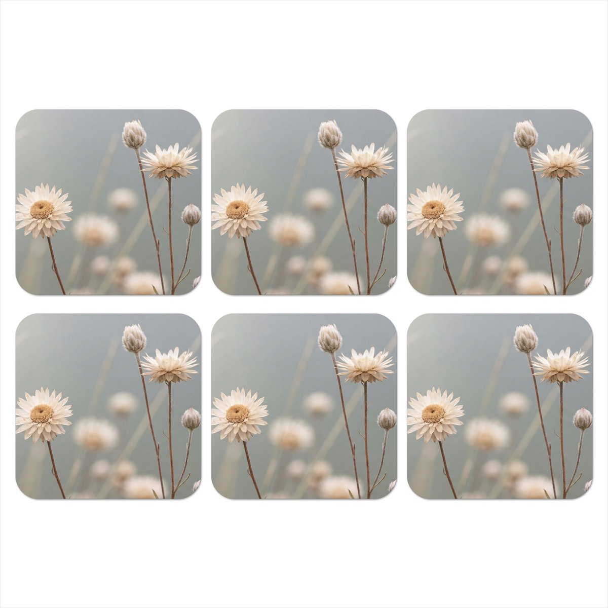 Onderzetters voor glazen - Strobloemen - Wit - Daglicht - 10x10 cm - Glasonderzetters - 6 stuks