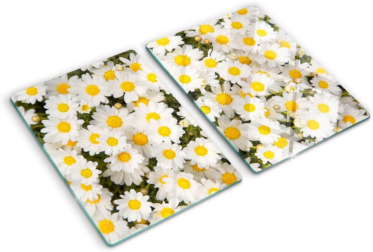 Hittebestendig Glasplaat voor Kookplaat en Werkblad 40x52 cm