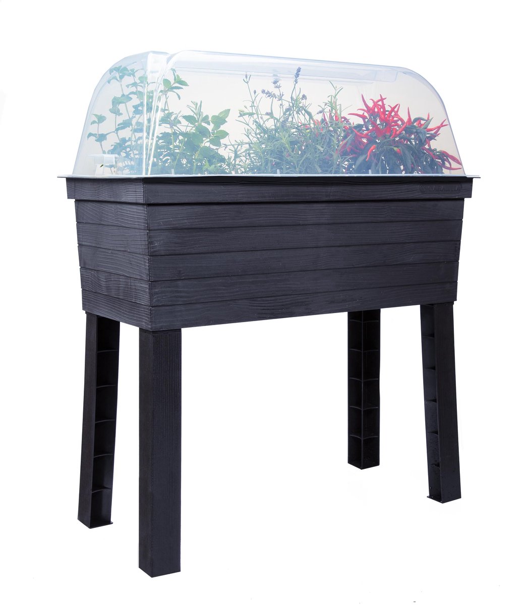 verhoogd groentebed met kas - graf - 645143