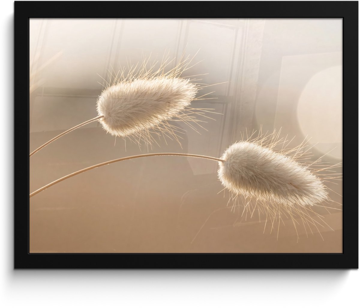 FrameYourWall Poster in lijst - Fotolijst 40x30 cm - Posters - Hazestaartgras - Graanharen - Zonlicht - Posterlijst zwart - Decoratie - Wanddecoratie woonkamer - Muurdecoratie slaapkamer