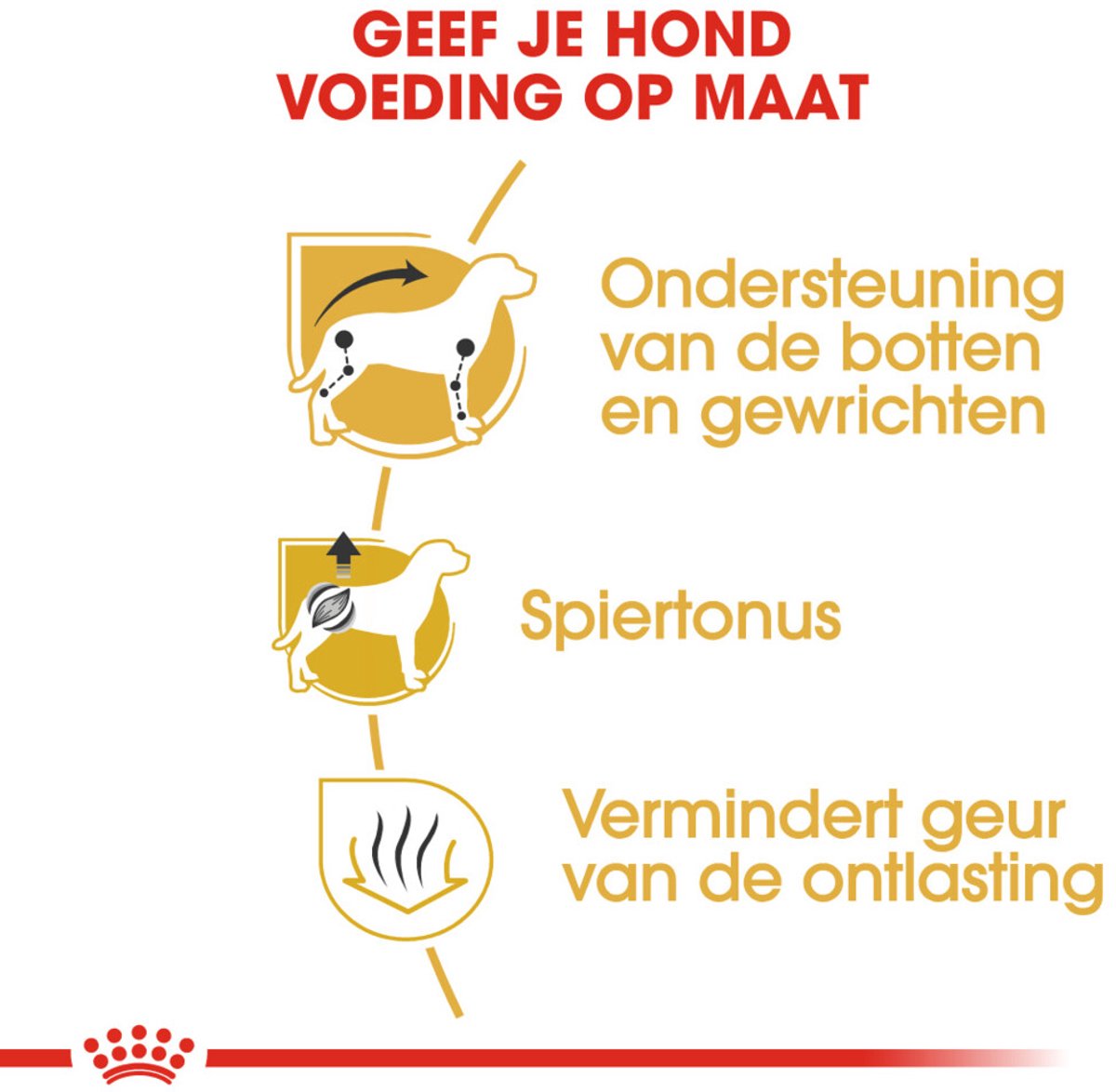 Royal Canin Dachshund - Voer speciaal voor teckels