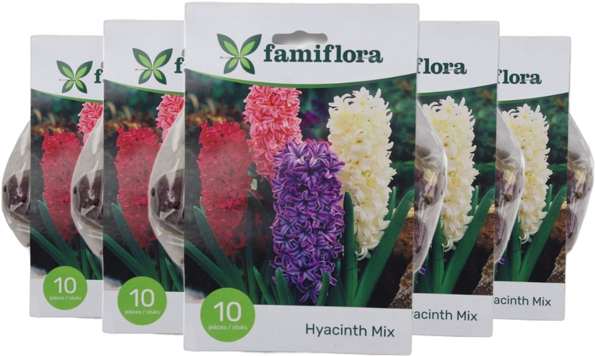 Famiflora Hyacinth Mix 5 x 10 - 50 bloembollen - Brengt geurige kleurenexplosie voor een aromatisch lentegevoel - Hyacinten trekken aandacht en zorgen voor een levendige tuinbeleving