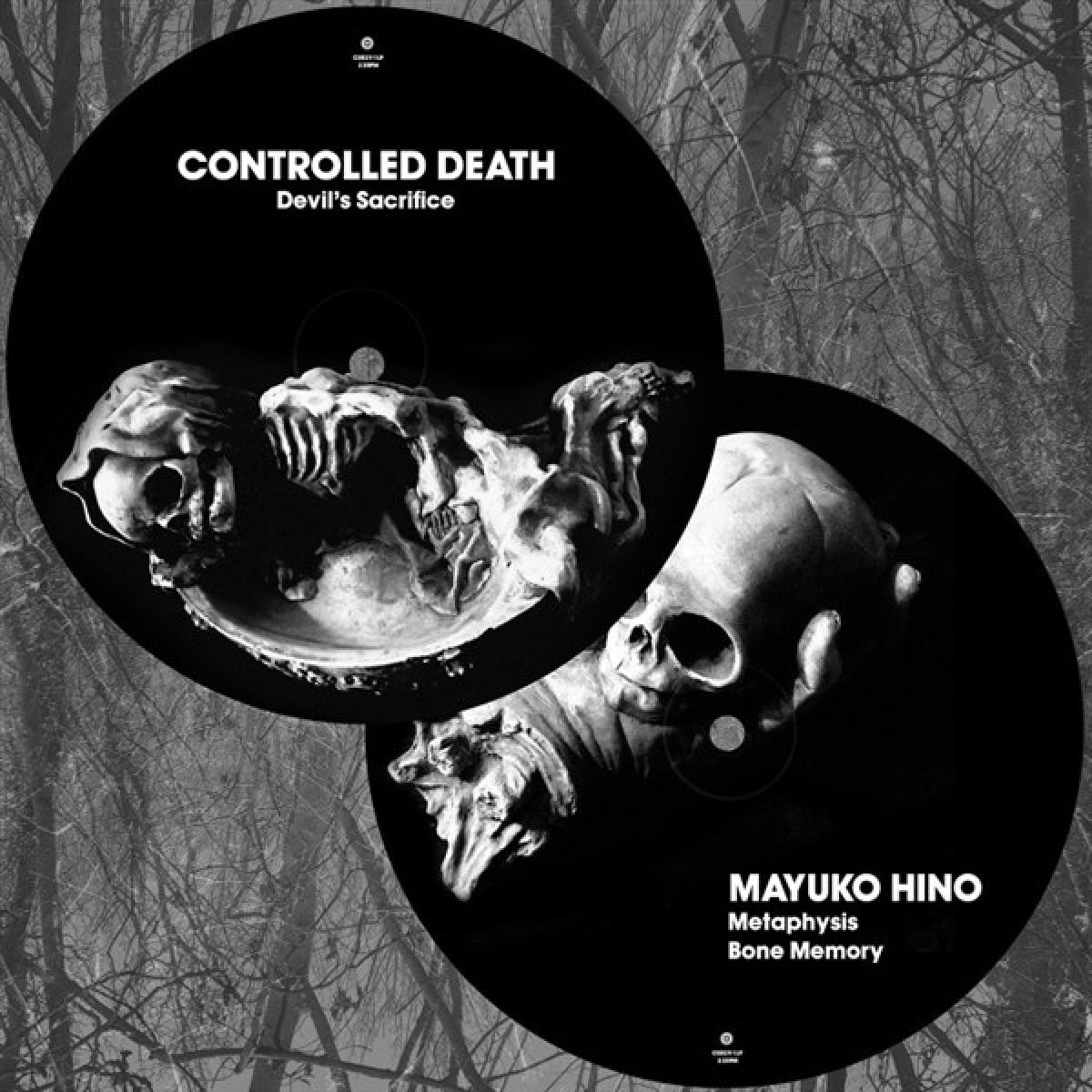 Controlled Death & Mayuko Hino - Split Lp (LP) (Picture Disc)