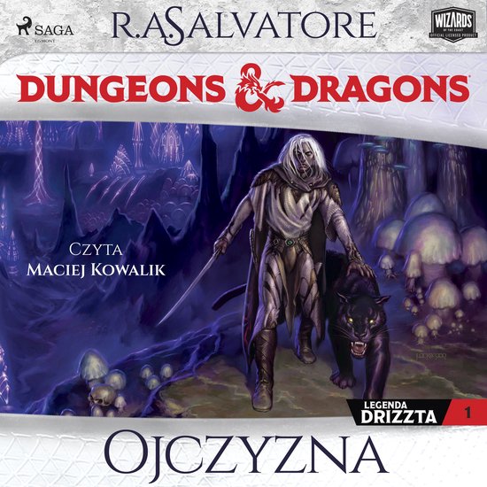 Dungeons&Dragons. Legenda Drizzta. Tom 1: Ojczyzna - cover