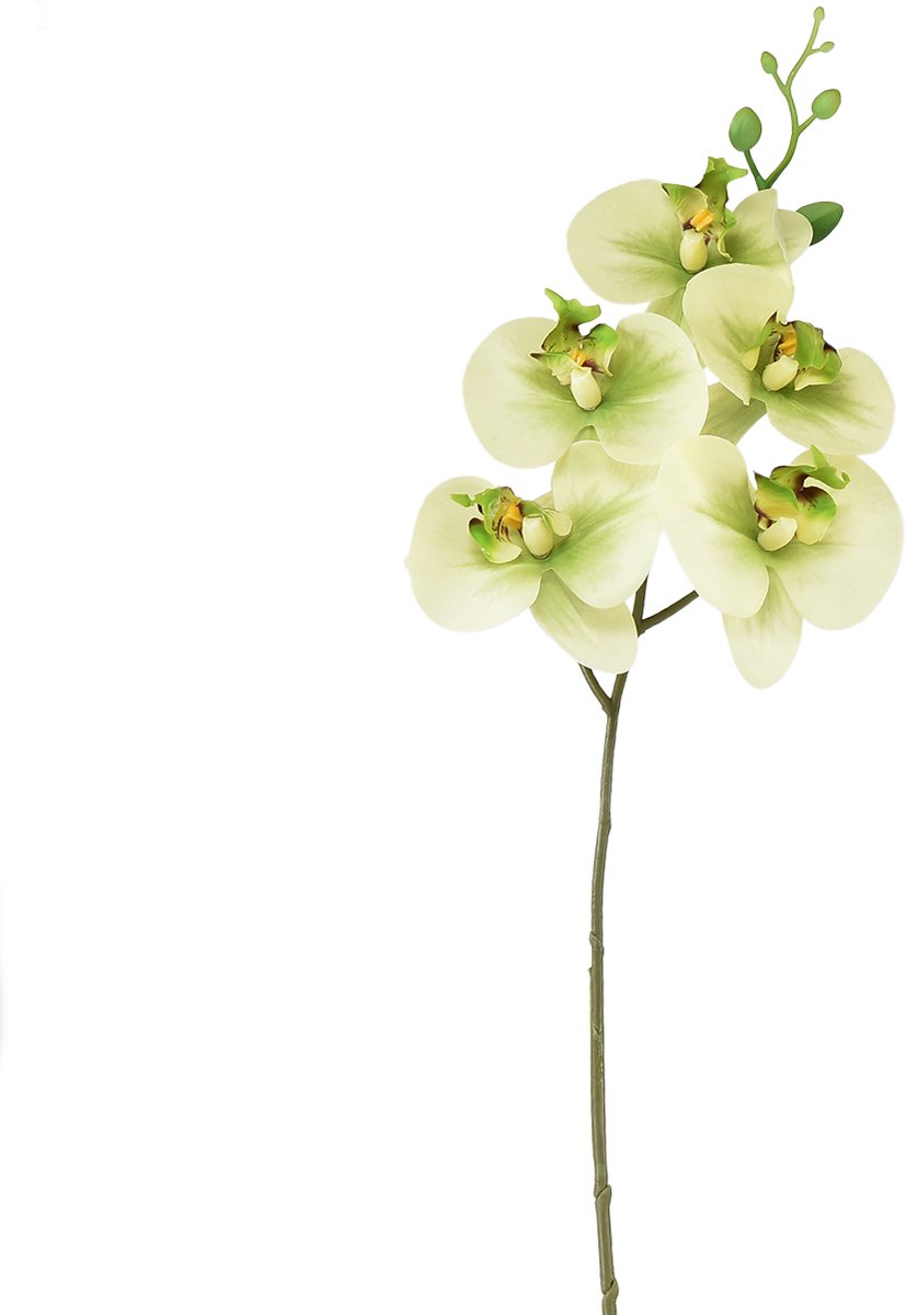 Orchidee Kunst Geelgroene Phalaenopsis 85cm