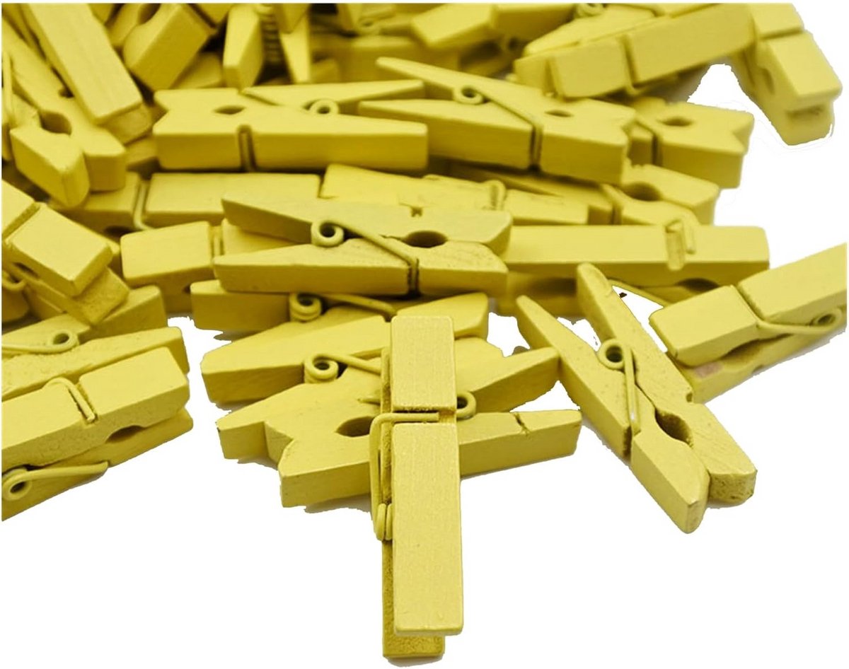 100 Stuks Houten Wasknijpers Mini Kleurrijk Natuurlijke Decoratie Clips
