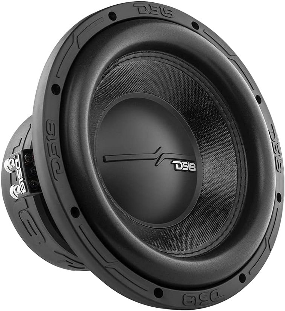 10 Inch Auto Subwoofer 1400W Krachtig Bas Dual Voice Coil 2 Ohm DVC Speaker