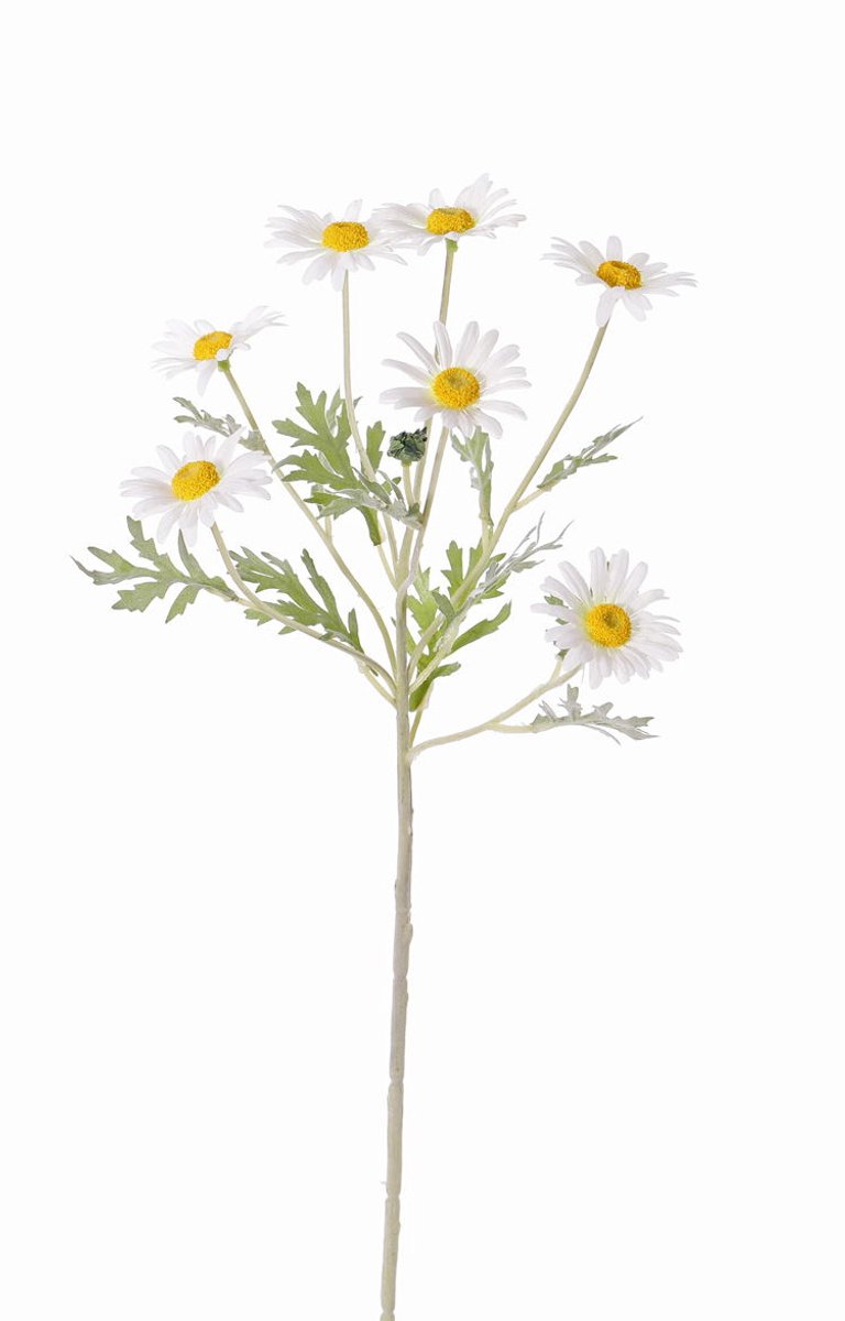 Top art - Margriet Leucanthemum 7 bloemen dia. 5 cm 1 knop & 7 blad...