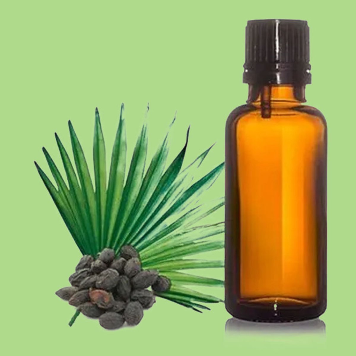 Zegepalm - Saw Palmetto Etherische Olie - 30 ml