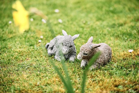 Twee stenen ezels, grijs en bruin, liggen in het gras met gele bloemen.