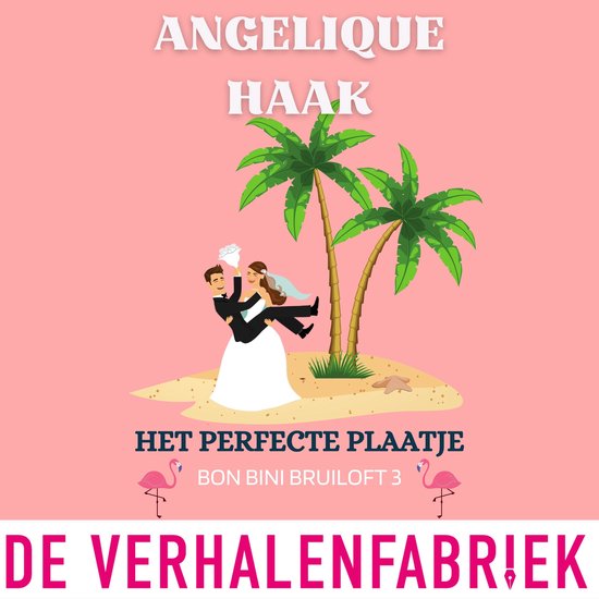 Het perfecte plaatje - cover