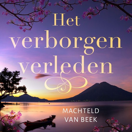 Het verborgen verleden - cover