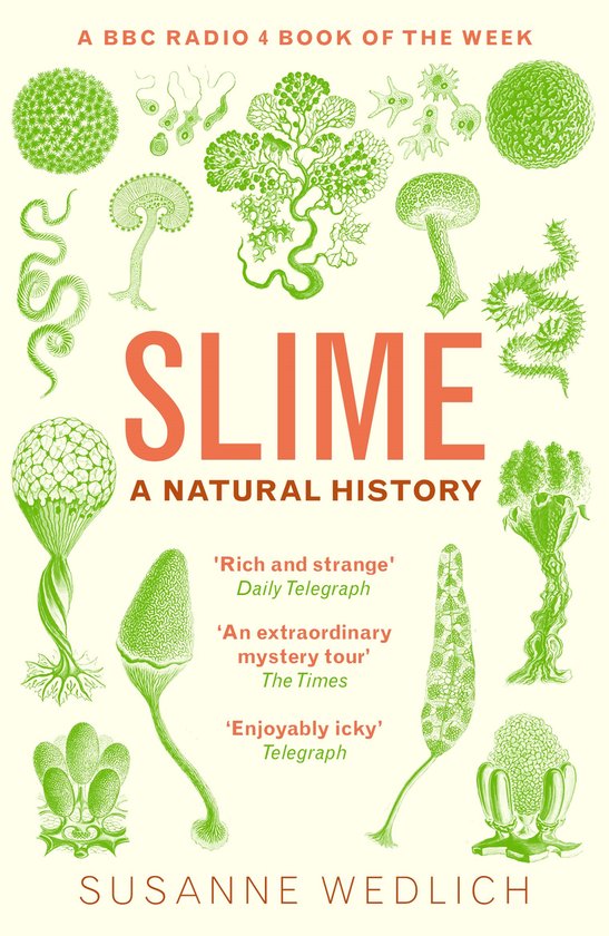 Slime - cover
