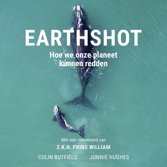 Earthshot - cover