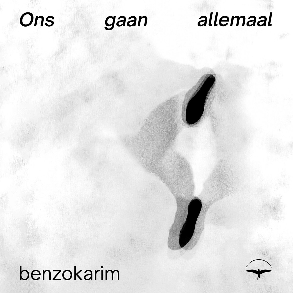 Omslag van Ons gaan allemaal