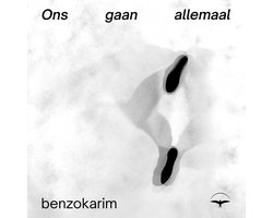 Omslag van Ons gaan allemaal