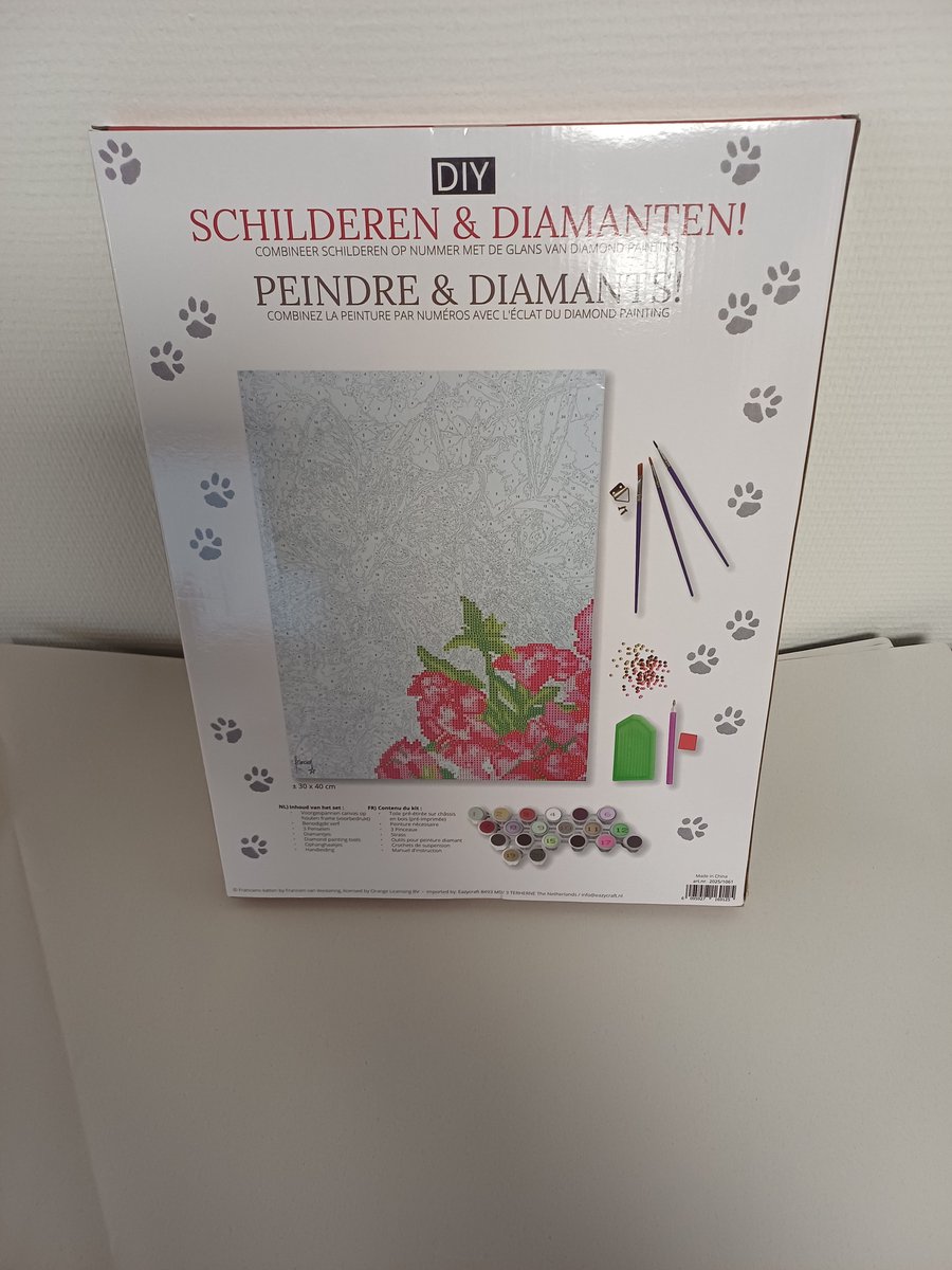 Francien schilderen&diamanten