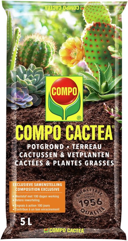 Zelf goede cactus potgrond maken: ontdek 3 manieren 7 COMPO SANA Potgrond Cactussen incl. meststof met 100 dagen lange werking - zak 5L