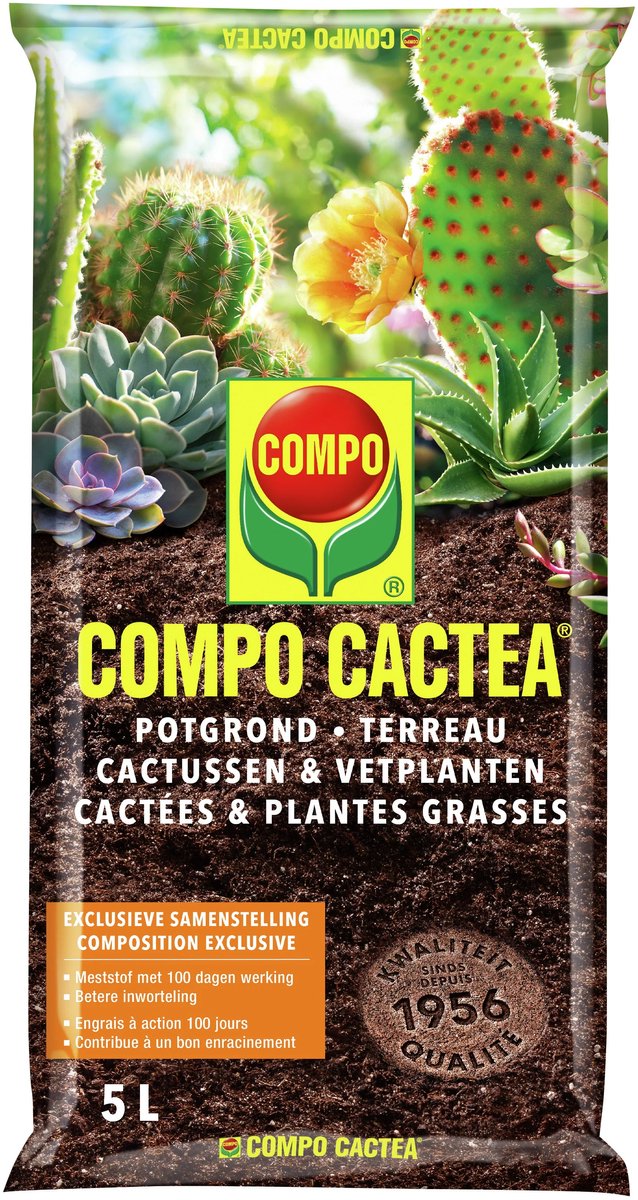 Compo Sana potgrond cactussen & vetplanten 5L