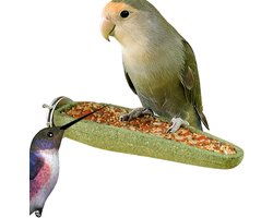 Vogel Knaagstok - Zitstok Speelgoed - Vogel Verrijking - Natuurlijke Zitgelegenheid - 12 x 4 cm - Niet gespecificeerd