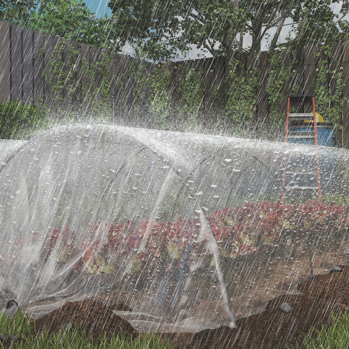 Wishdor Kasfolie - Waterdicht - Uv-Bescherming 5% - Polypropyleen - Transparant - 6 X 10 M - Dikte 0,15 Mm