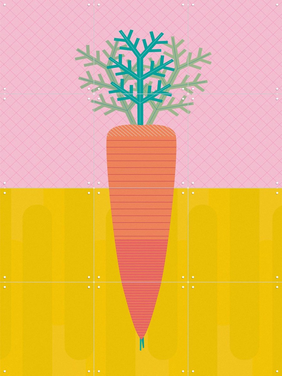 IXXI Carrot, Jetske Kox - 60 x 80 cm - Gratis ophangtool - Grote wanddecoratie en posters - Kleurrijk, Illustraties, Eten & Drinken