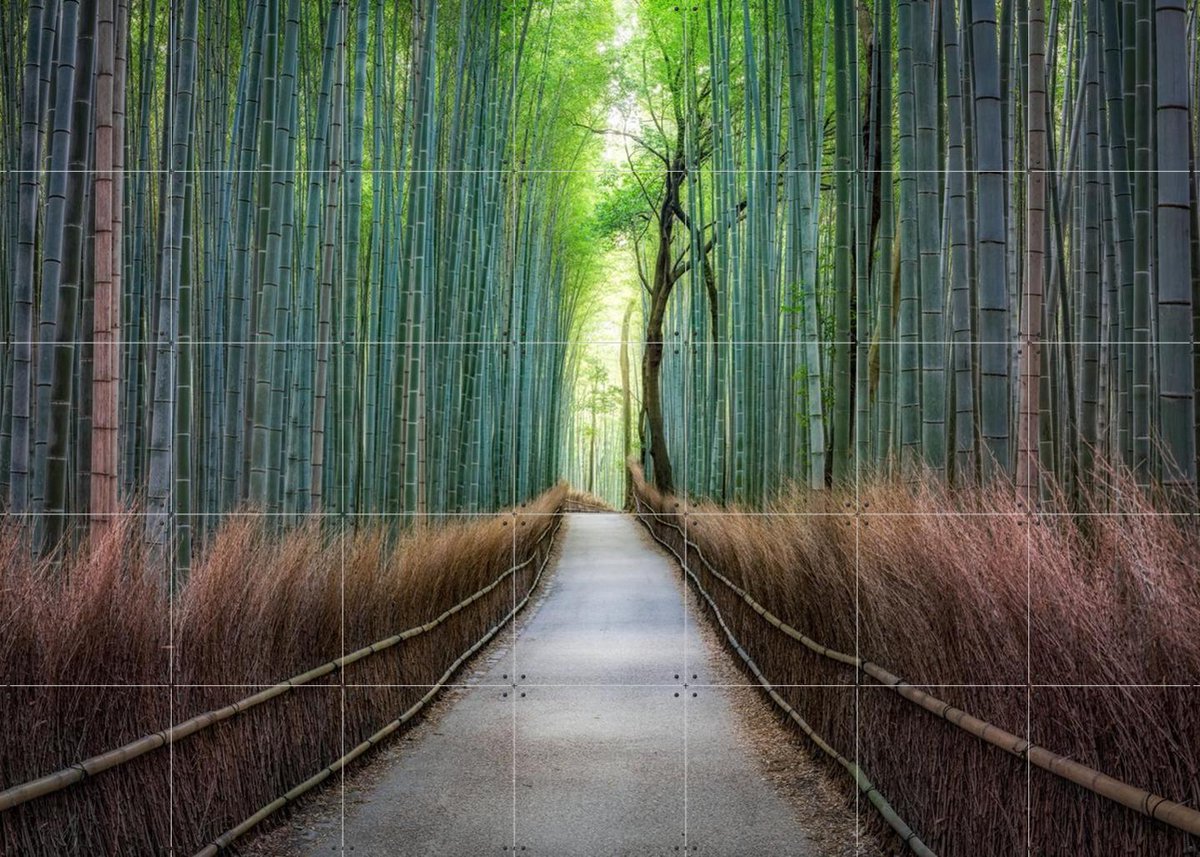 IXXI Arashiyama bamboo grove, Kyoto, Japan, Jan Becke - 140 x 100 cm - Gratis ophangtool - Grote wanddecoratie en posters - Fotografie, Naturalisme