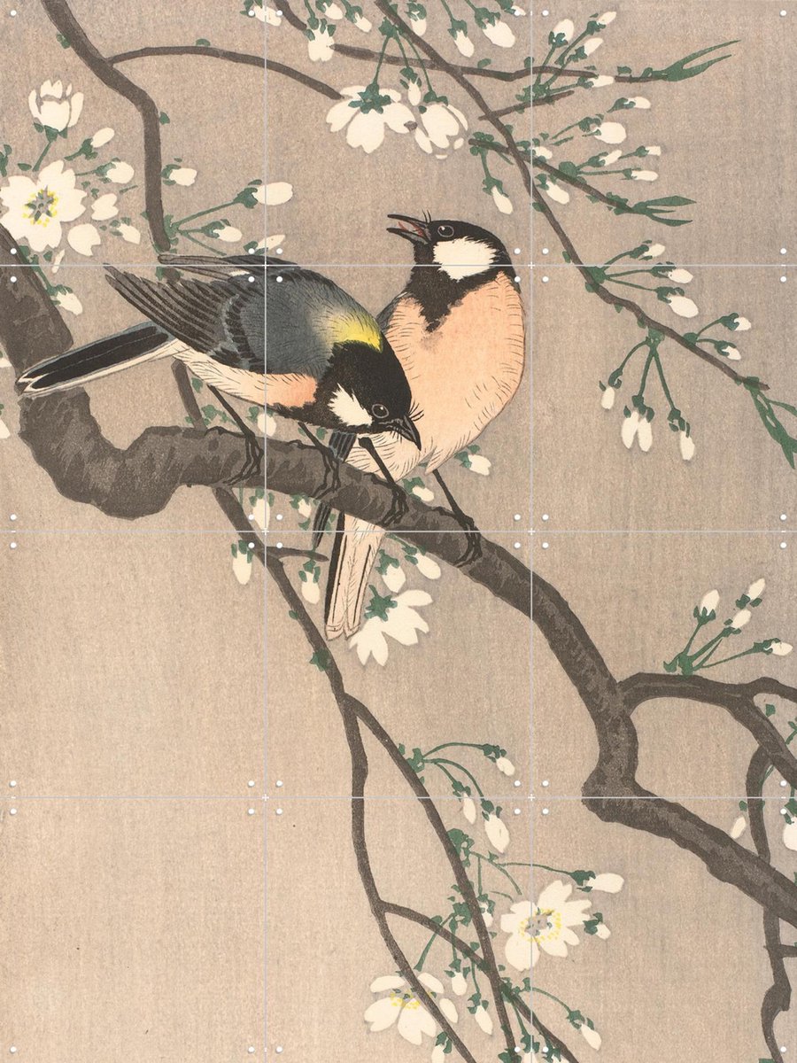IXXI Koolmezen op bloesemtak, Ohara Koson & Rijksmuseum - 60 x 80 cm - Gratis ophangtool - Grote wanddecoratie en posters - Houtsnede, Ukiyo-e