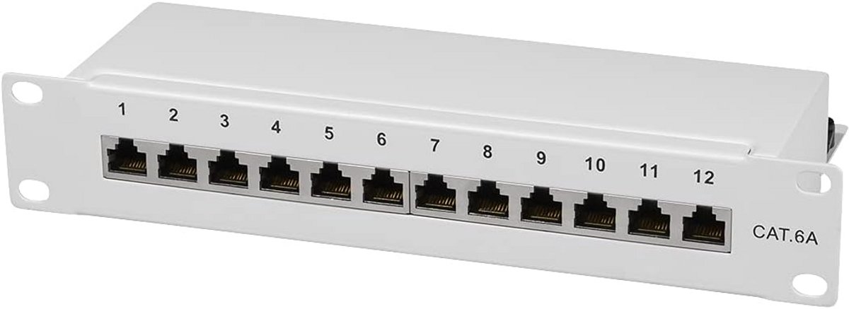 Afgeschermd Cat.6A Patchpaneel 10 Inch 12 Poorten RJ45 voor Netwerken
