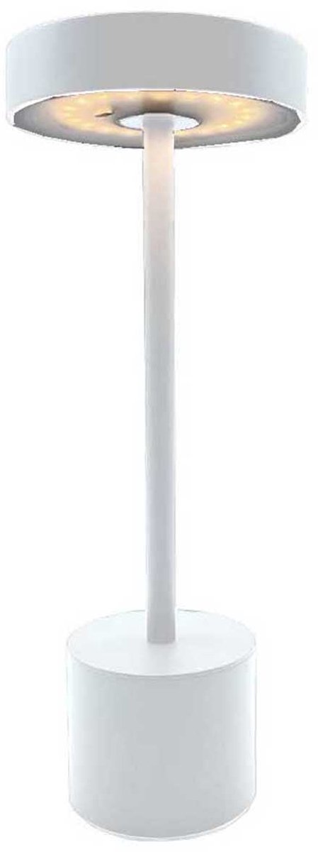 Draadloze tafellamp H30CM ROBY