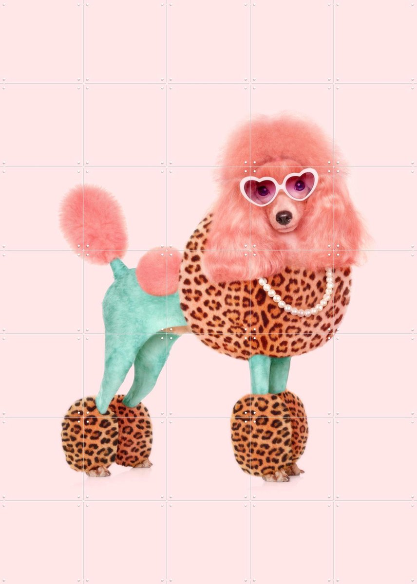 IXXI Funky Poodle, Paul Fuentes - 100 x 140 cm - Gratis ophangtool - Grote wanddecoratie en posters - Fotografie, Digitale Kunst, Pop art, Speels
