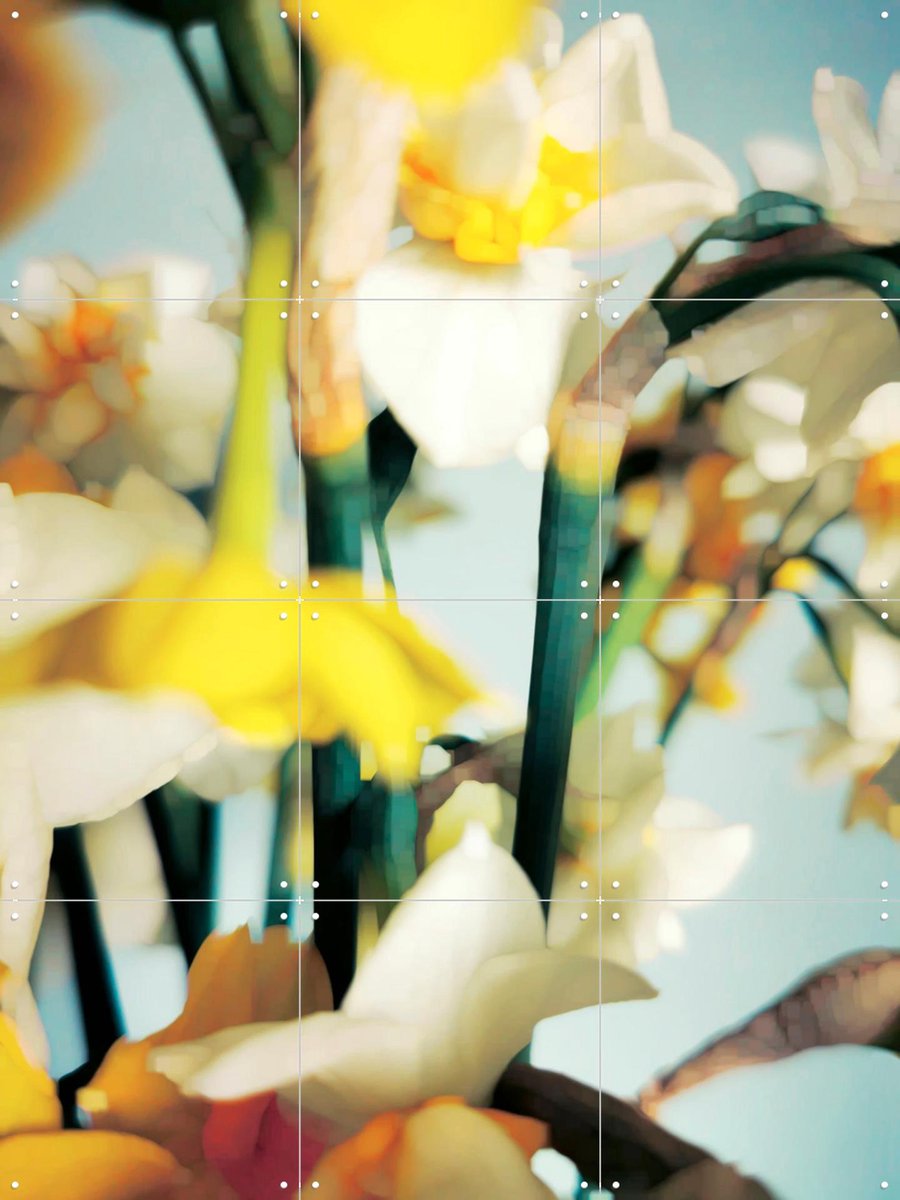 IXXI Primavera, Angelo Cerantola - 60 x 80 cm - Gratis ophangtool - Grote wanddecoratie en posters - Fotografie, Abstract, Impressionisme, Eetkamer