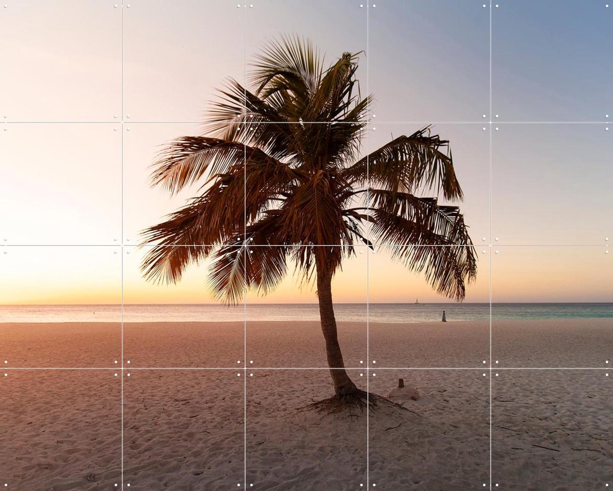 IXXI Summer Vibes Palm, Claire Droppert - 100 x 80 cm - Gratis ophangtool - Grote wanddecoratie en posters - Fotografie, Naturalisme, Woonkamer