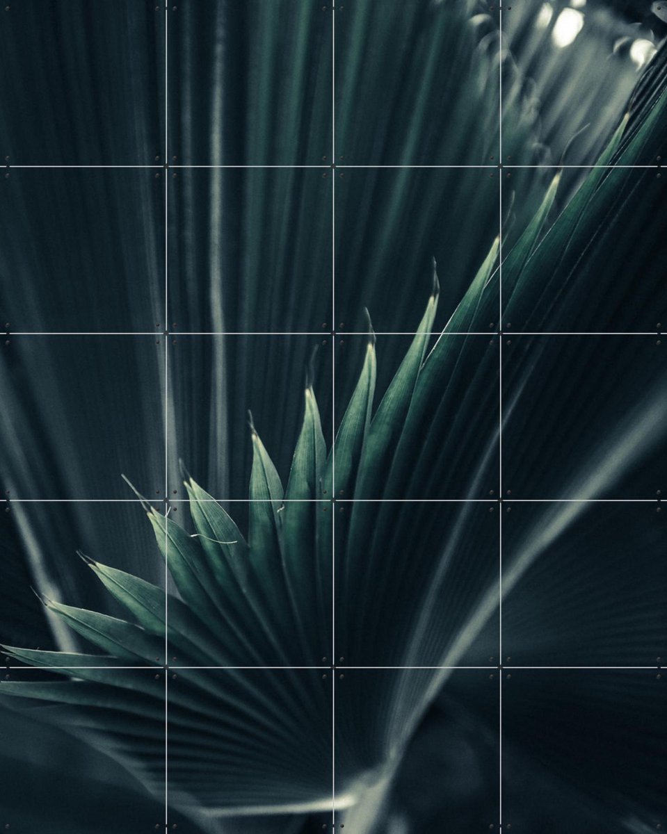 IXXI Palm Shade 1, Chris Abatzis - 80 x 100 cm - Gratis ophangtool - Grote wanddecoratie en posters - Fotografie, Woonkamer, Slaapkamer, Planten