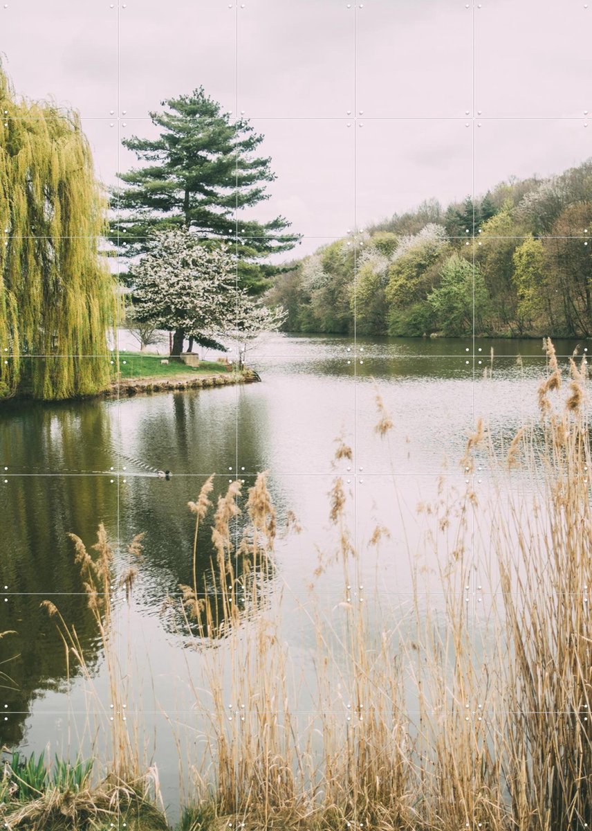IXXI Tranquil Lake, Pati Photography - 100 x 140 cm - Gratis ophangtool - Grote wanddecoratie en posters - Naturalisme, Fotografie, Woonkamer
