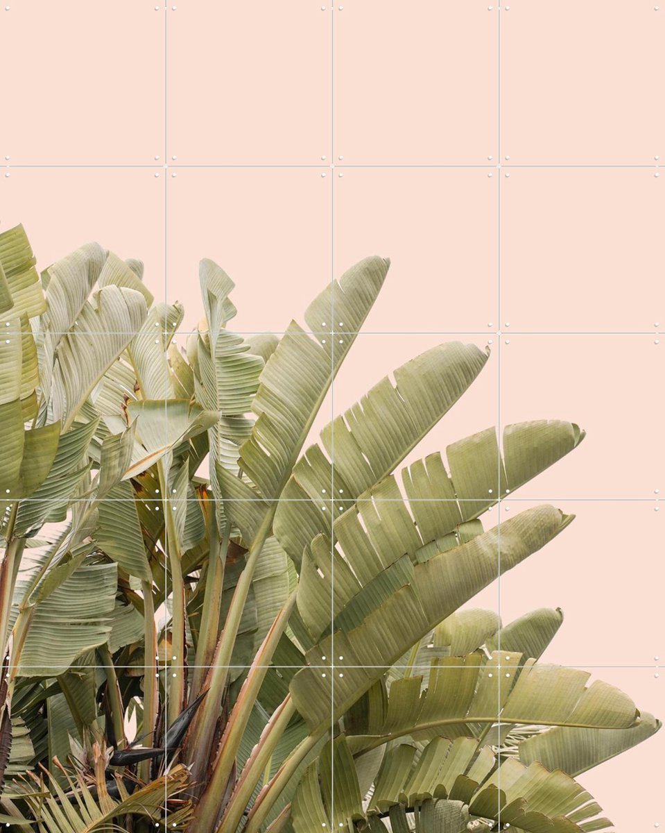 IXXI Tropical Leaves, Henrike Schenk - 80 x 100 cm - Gratis ophangtool - Grote wanddecoratie en posters - Fotografie, Minimalisme, Woonkamer