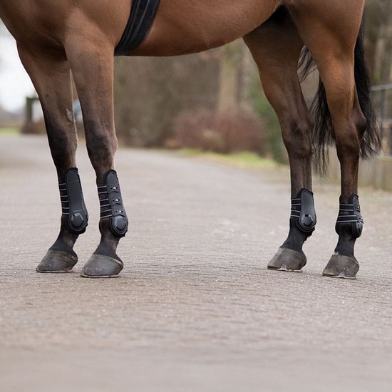 Paardenbenen met zwarte peesbeschermers met witte accenten op een grijze ondergrond.