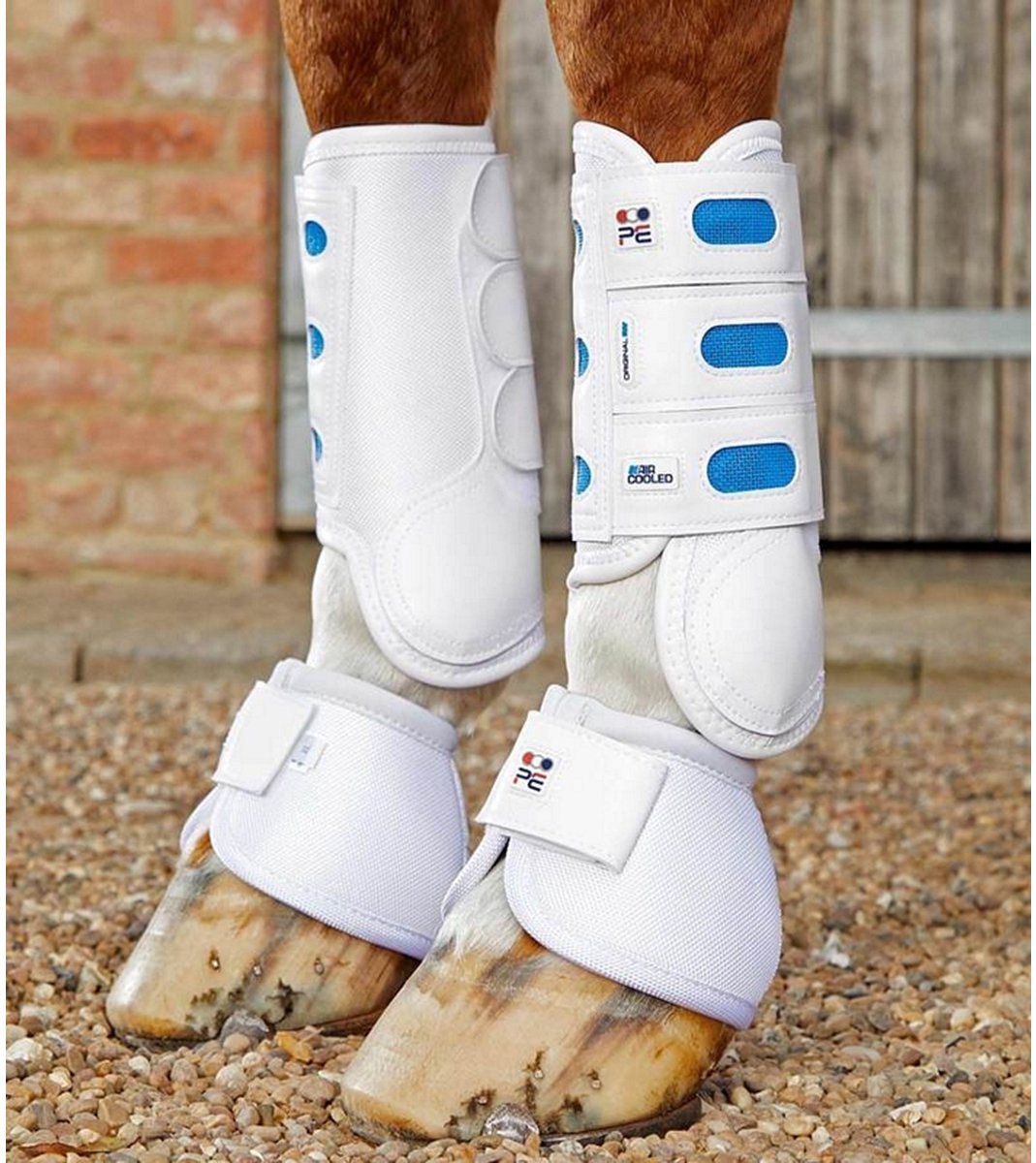 PREMIER EQUINE AIR-COOLED EVENTING BOOT FRONT Wit