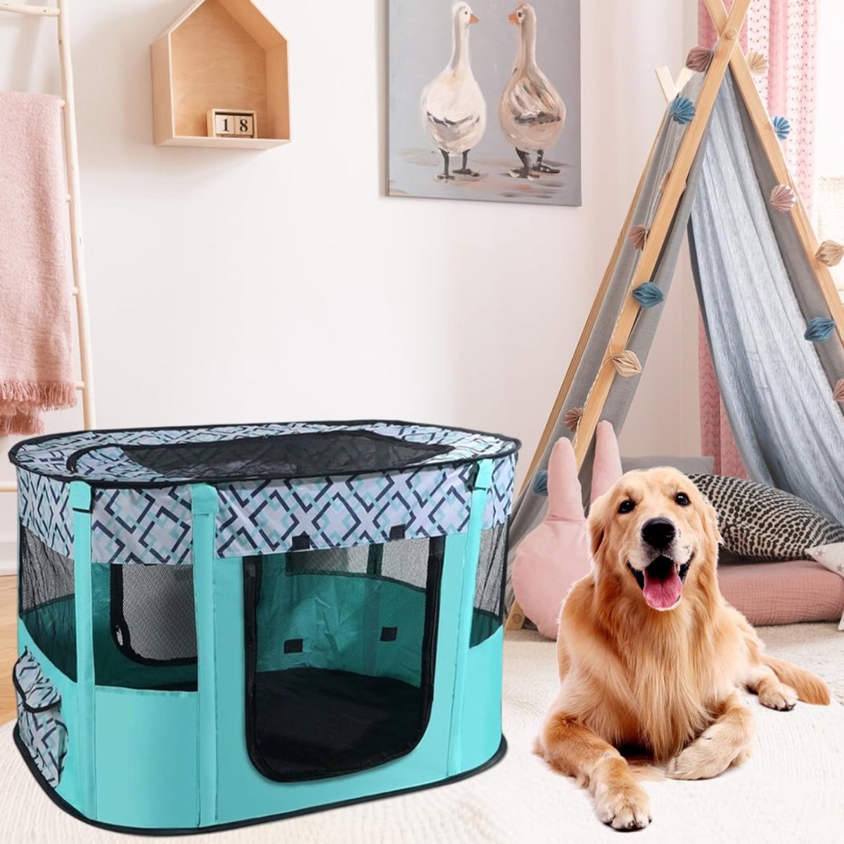 CLVP® Kattenren Binnen en Buiten - Dierenren - Groen thumbnail 6