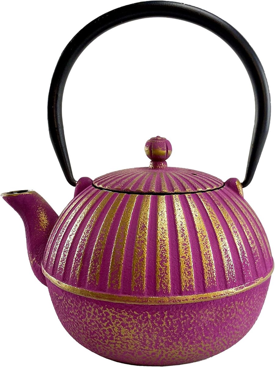 Gietijzeren Theepot - Japanse Ketel - Thee Zetten - Handgemaakte Kwaliteit - 0.9 Liter